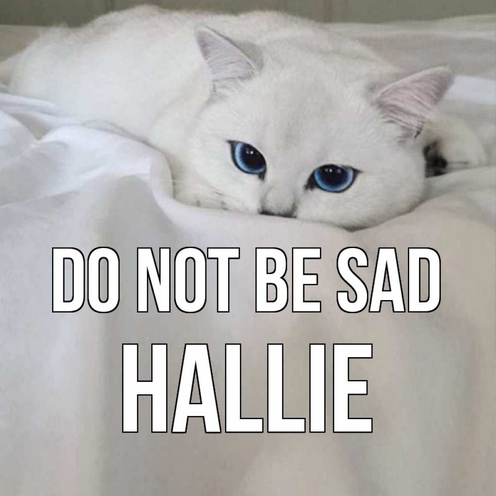Greetings card с именем, Hallie Do not be sad белый кот с голубыми глазами на белоснежной кровати Greetings with text for free download 