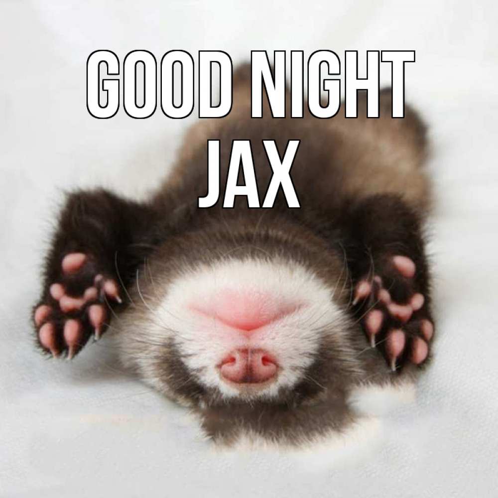 Greetings card с именем, Jax Good night зверек Greetings with text for free download 