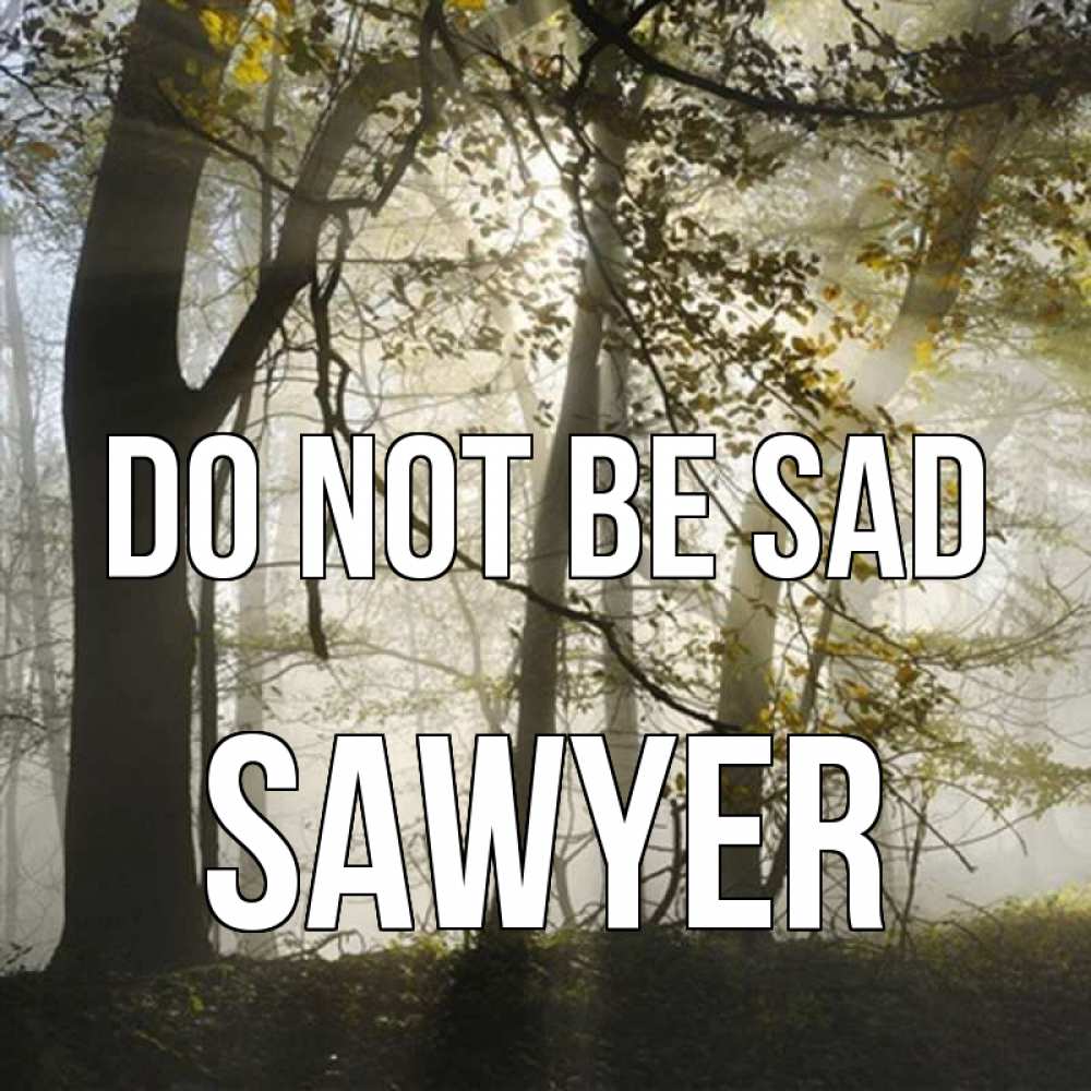 Greetings card с именем, Sawyer Do not be sad лес и свет Greetings with text for free download 