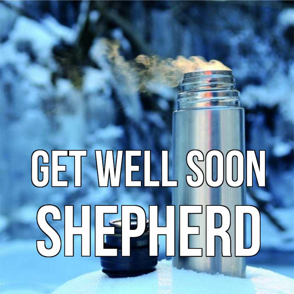 Greetings card с именем, Shepherd Get well soon лечитесь не болейте Greetings with text for free download 