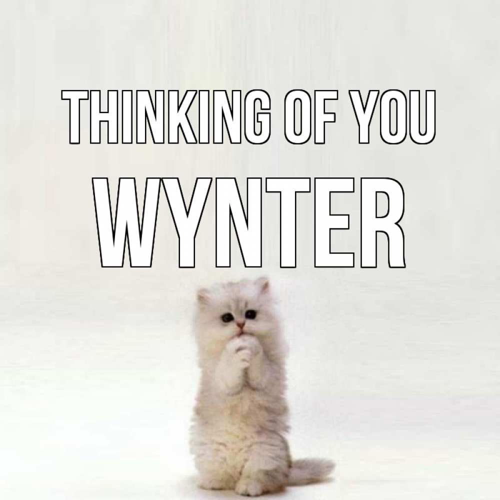 Greetings card с именем, Wynter Thinking of you кот стоит на задних лапах Greetings with text for free download 