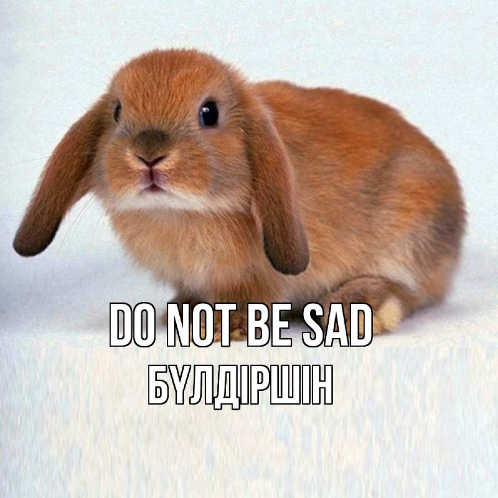 Greetings card с именем, БҮЛДІРШІН Do not be sad вислоухий рыжий кролик Greetings with text for free download 