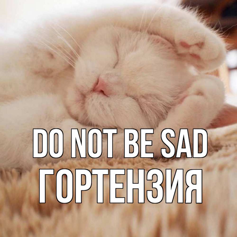 Greetings card с именем, Гортензия Do not be sad белый кот Greetings with text for free download 