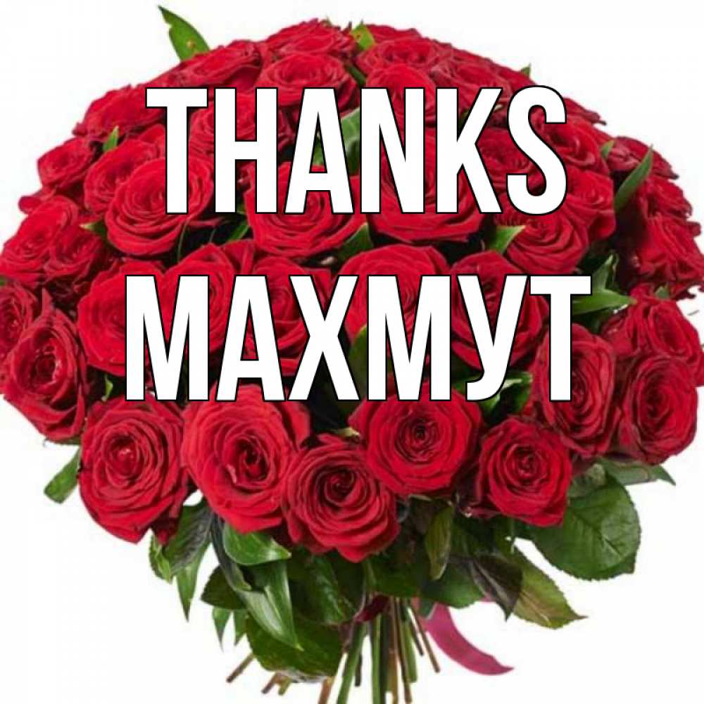Greetings card с именем, МАХМУТ Thanks букет красных роз Greetings with text for free download 