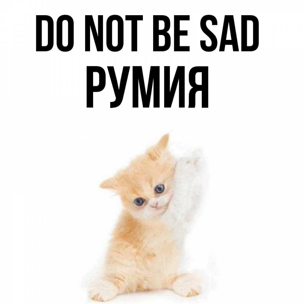 Greetings card с именем, Румия Do not be sad просящий кот Greetings with text for free download 