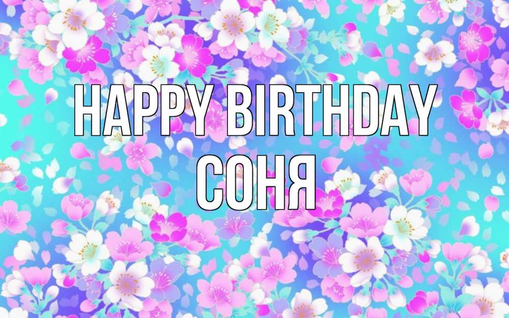 Greetings card с именем, Соня Happy Birthday открытка с заливкой Greetings with text for free download 