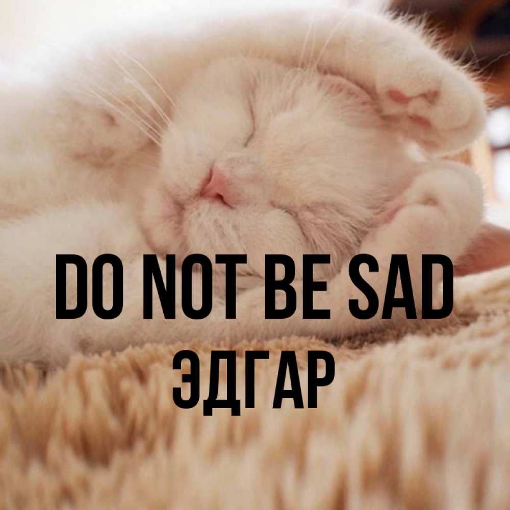 Greetings card с именем, Эдгар Do not be sad Котенок спит Greetings with text for free download 