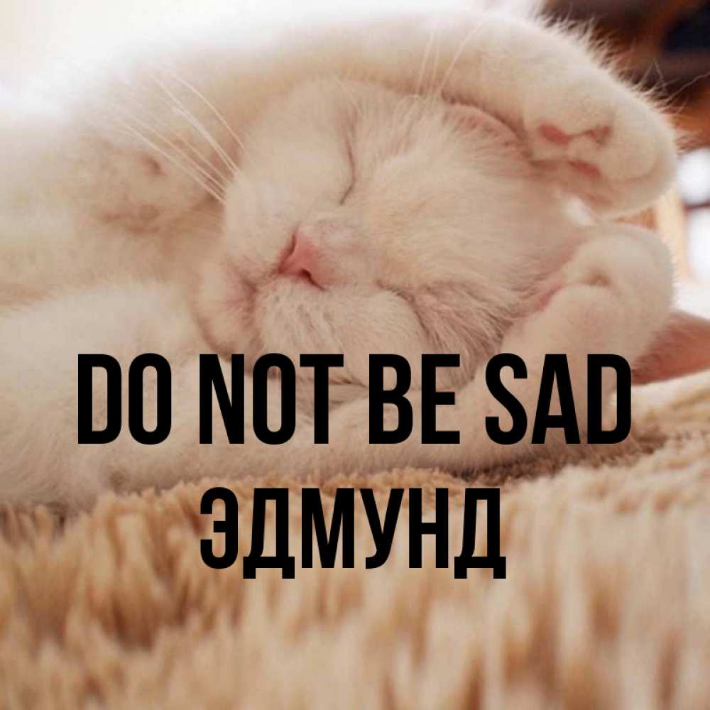 Greetings card с именем, Эдмунд Do not be sad Котенок спит Greetings with text for free download 