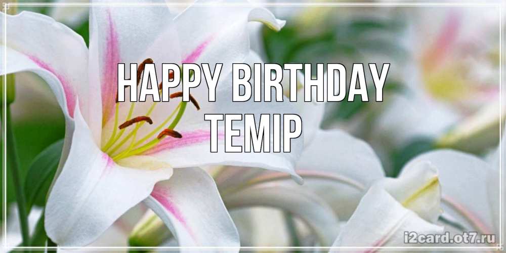 Image Happy Birthday, ТЕМІР