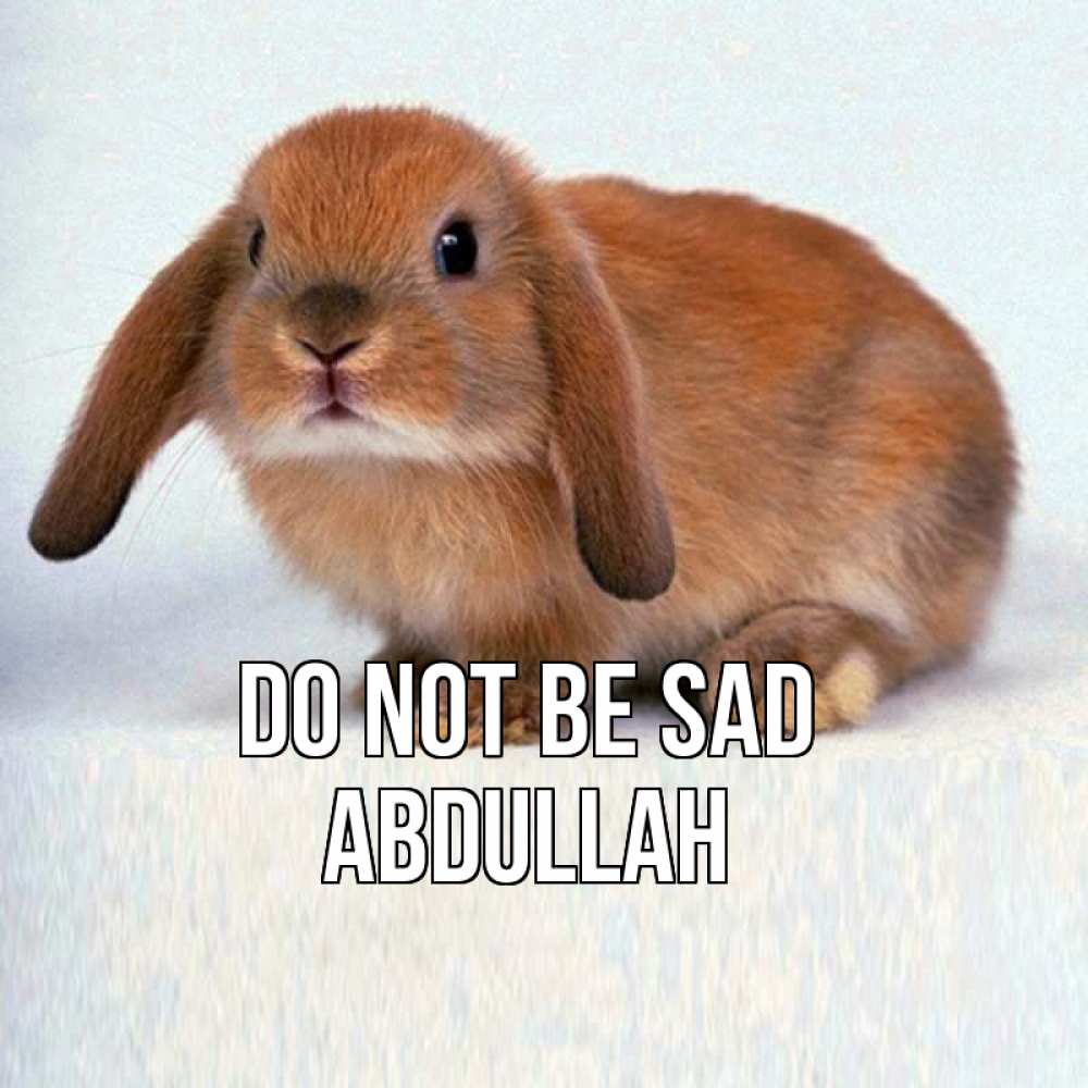 Greetings card с именем, Abdullah Do not be sad вислоухий рыжий кролик Greetings with text for free download 