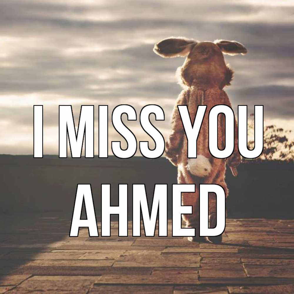 Greetings card с именем, Ahmed I miss you даже в костюме зайца Greetings with text for free download 