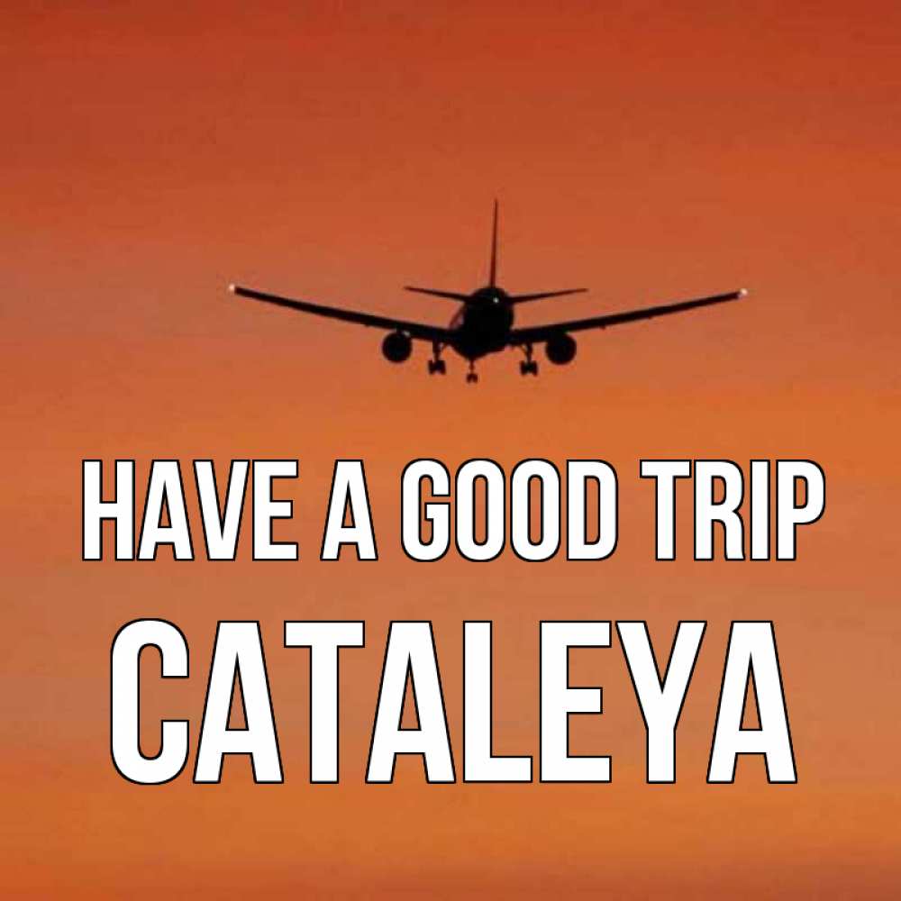 Greetings card с именем, Cataleya Have a good trip силуэт самолета Greetings with text for free download 
