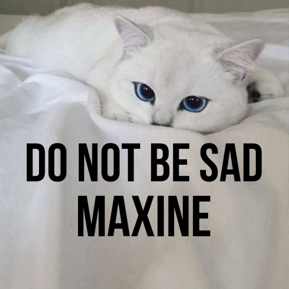 Greetings card с именем, Maxine Do not be sad Голубоглазая кошка Greetings with text for free download 