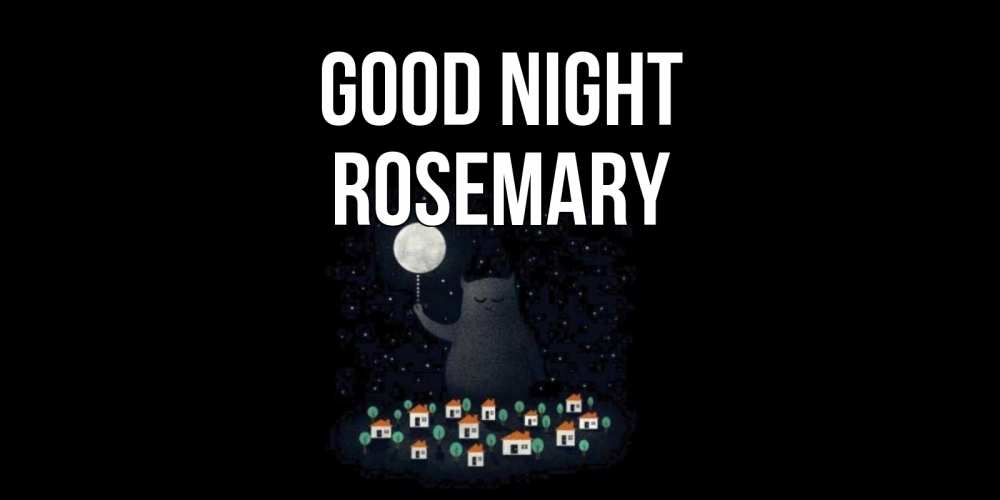 Greetings card с именем, Rosemary Good night кот,луна, ночь, звезды Greetings with text for free download 
