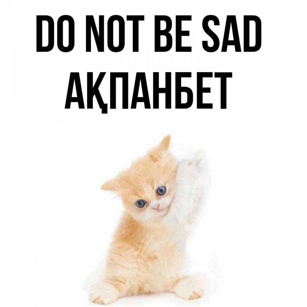 Greetings card с именем, Ақпанбет Do not be sad просящий кот Greetings with text for free download 