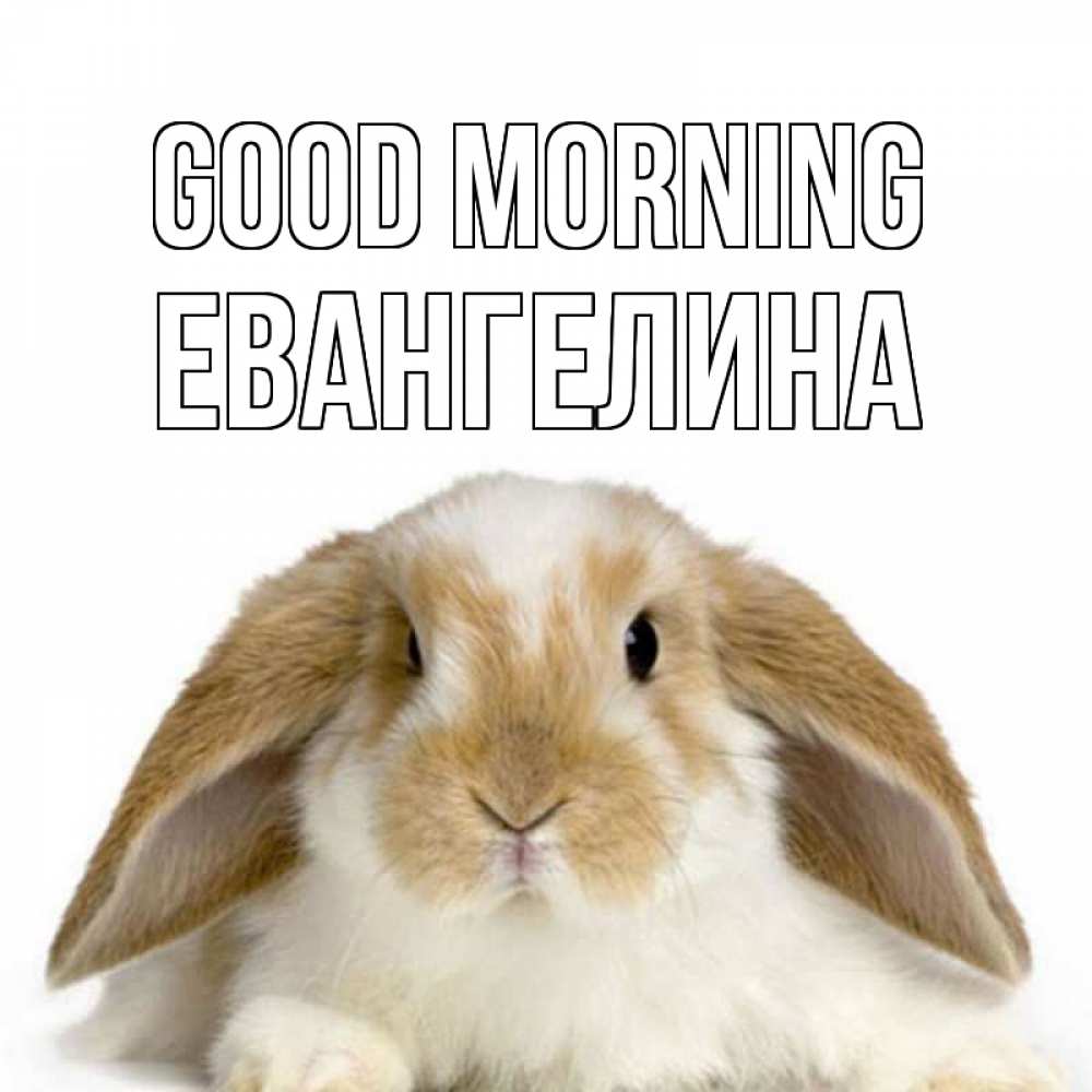 Greetings card с именем, Евангелина Good morning прикольные открытки на каждый день Greetings with text for free download 