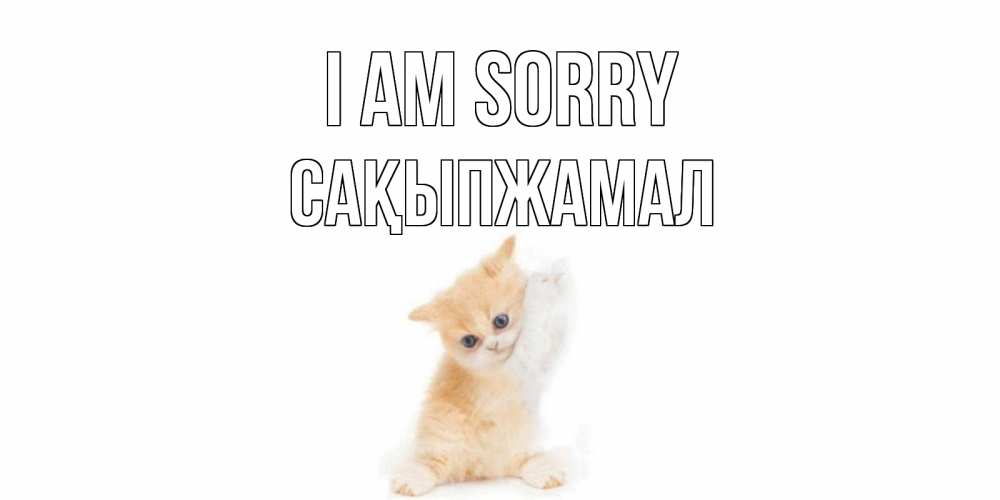 Greetings card с именем, САҚЫПЖАМАЛ I am sorry кот Greetings with text for free download 