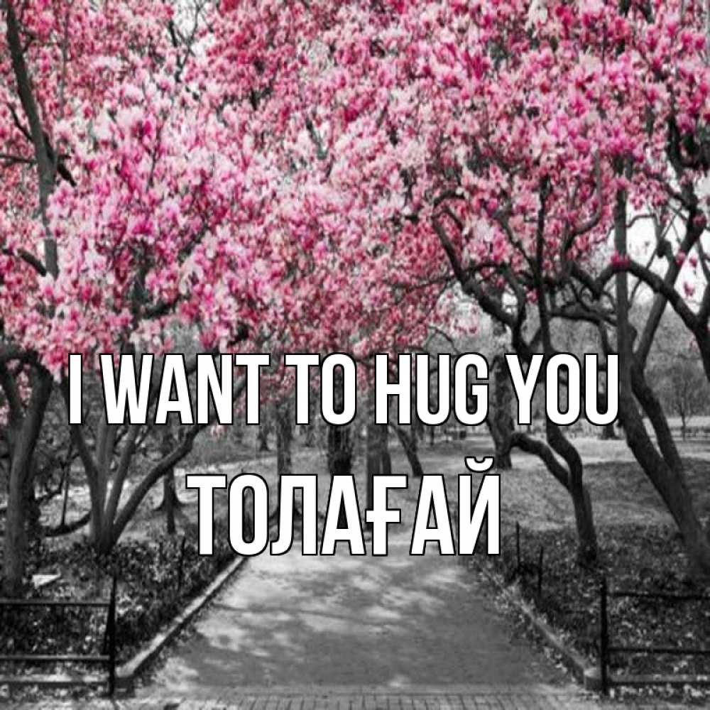 Greetings card с именем, ТОЛАҒАЙ I want to hug you обработанное фото Greetings with text for free download 