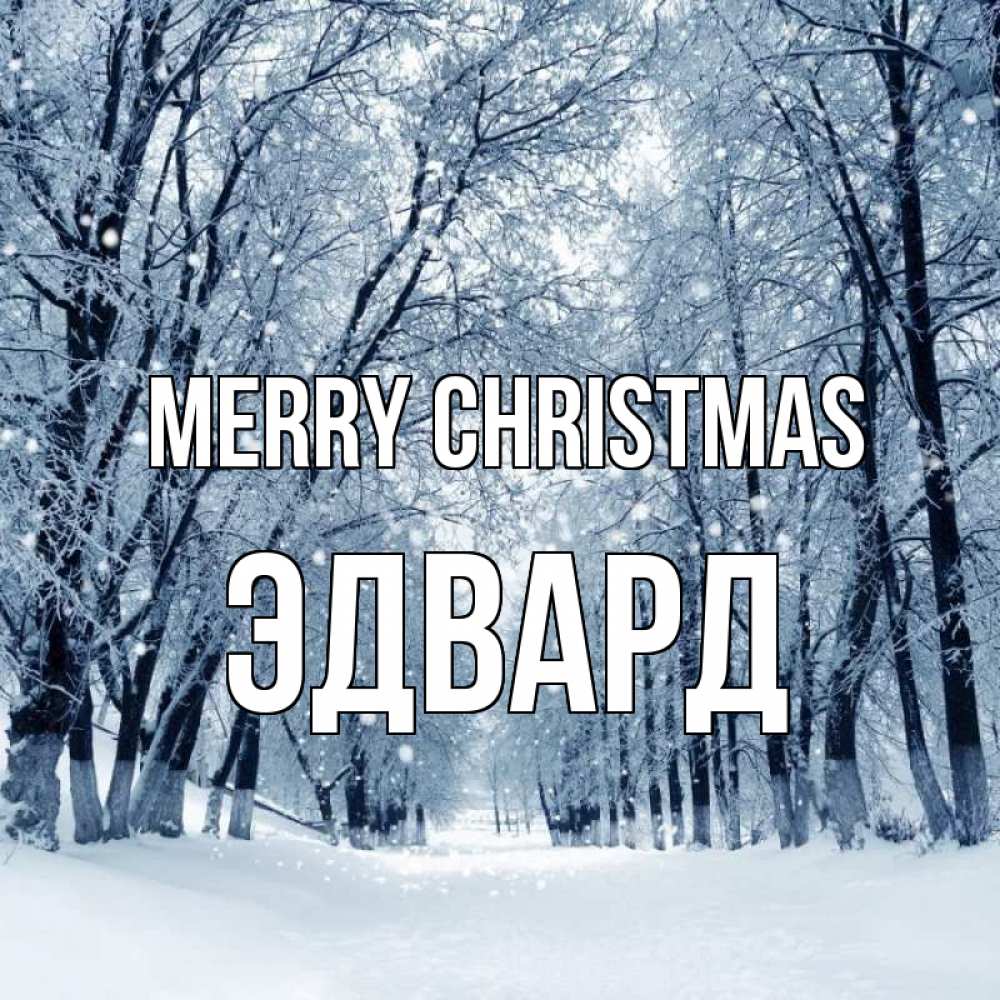 Greetings card с именем, Эдвард Merry Christmas снег, лес, парк Greetings with text for free download 