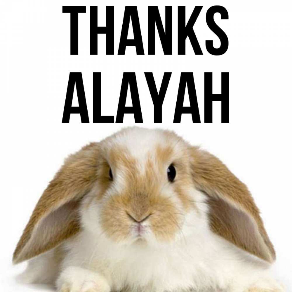 Greetings card с именем, Alayah Thanks коричнево белый заяц Greetings with text for free download 