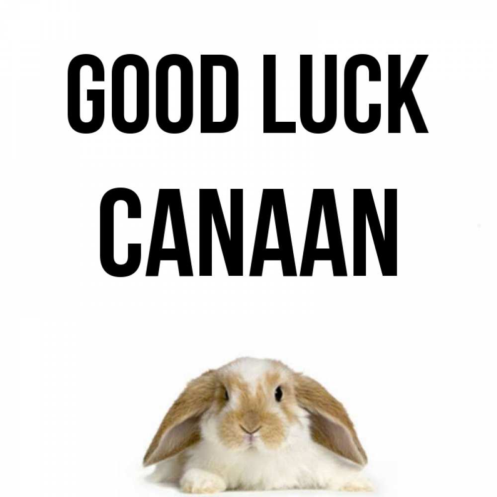 Greetings card с именем, Canaan Good luck открытки с произвольным текстом который можно вставить в открытку и создать ее самостоятельно бесплатно онлайн Greetings with text for free download 