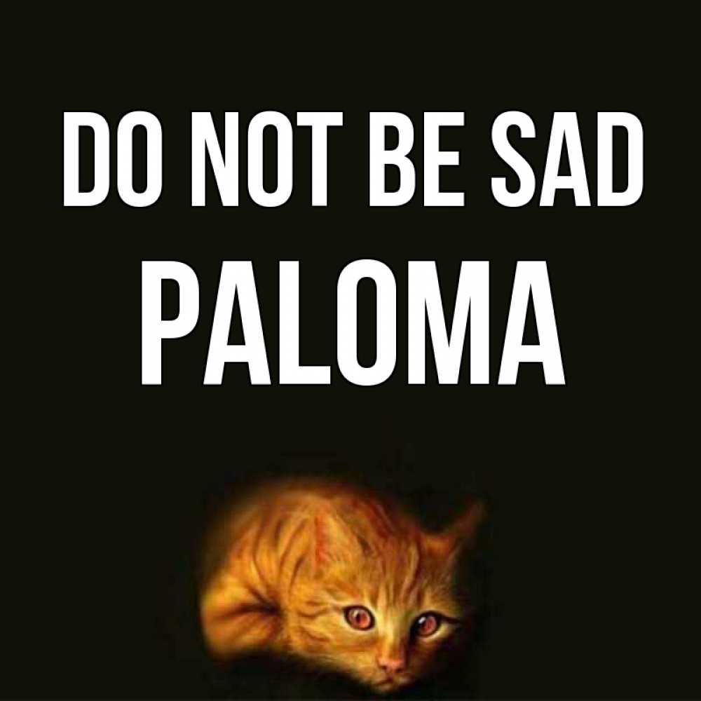 Greetings card с именем, Paloma Do not be sad лежащий кот в темноте Greetings with text for free download 