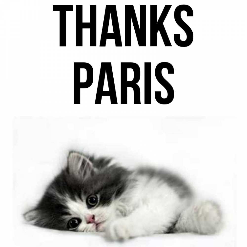 Greetings card с именем, Paris Thanks черный и белый кот Greetings with text for free download 