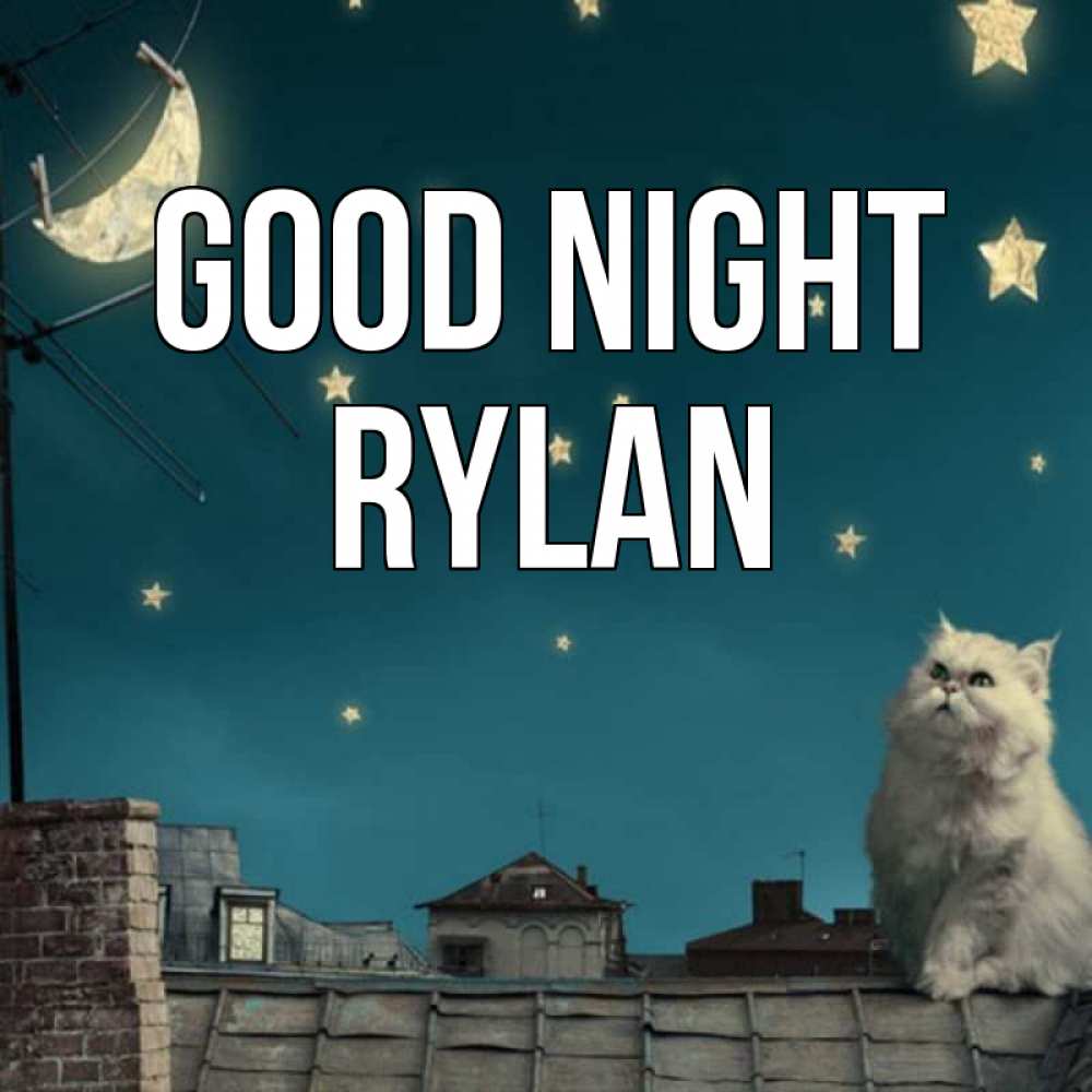 Greetings card с именем, Rylan Good night белый кот сидит на крыше Greetings with text for free download 