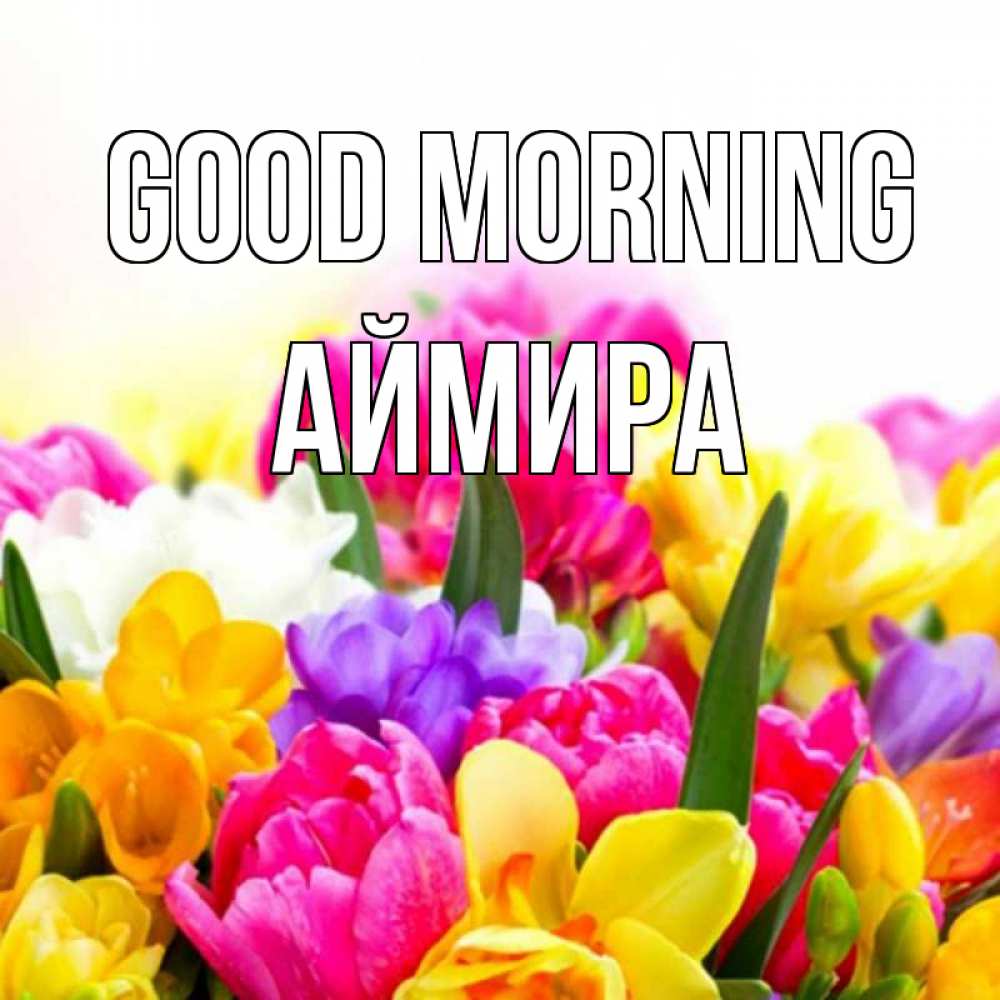 Greetings card с именем, АЙМИРА Good morning создать открытку со свое подписью Greetings with text for free download 