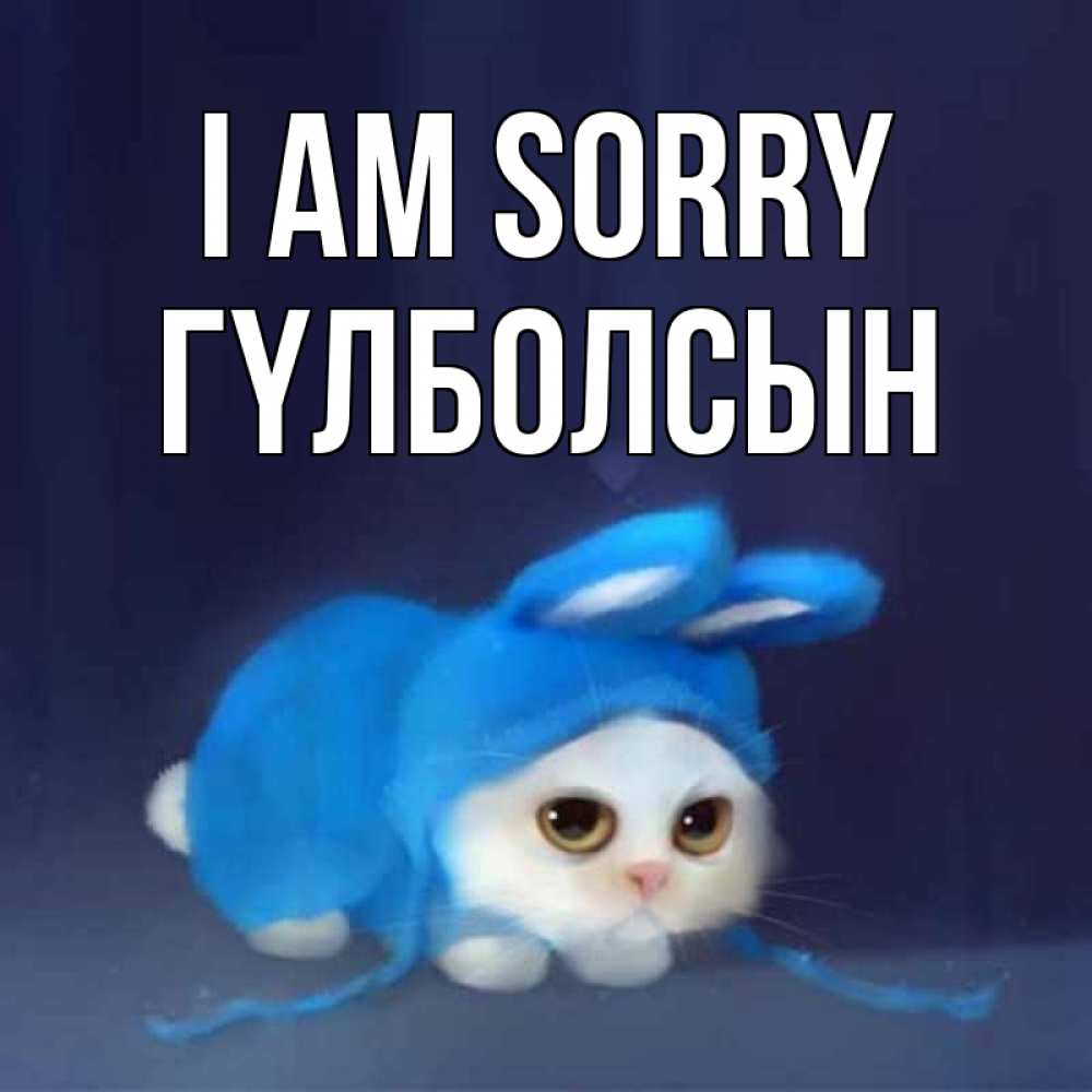 Greetings card с именем, ГҮЛБОЛСЫН I am sorry невинный котозай просит прощения Greetings with text for free download 
