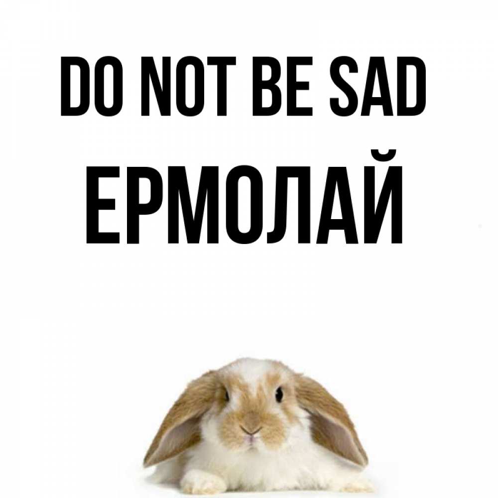 Greetings card с именем, Ермолай Do not be sad коричнево белый заяц с большими ушками Greetings with text for free download 