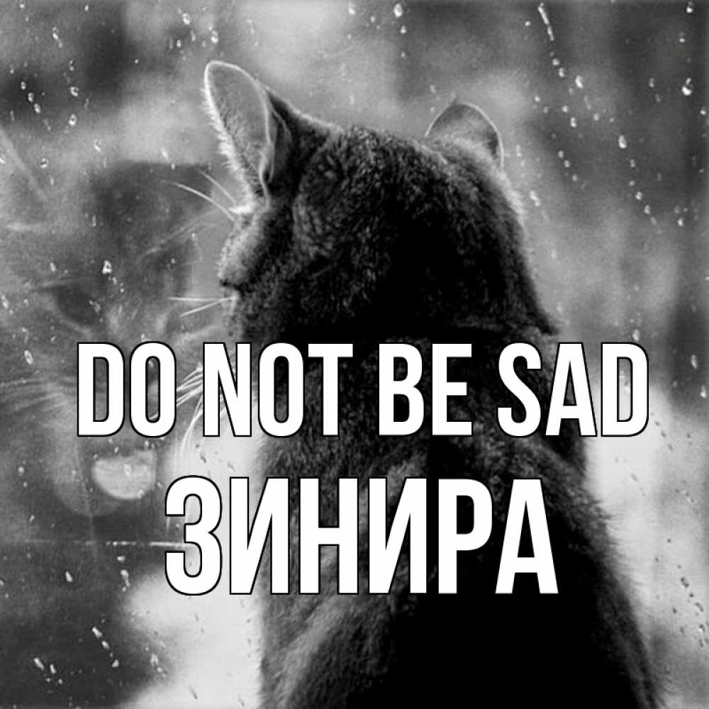 Greetings card с именем, ЗИНИРА Do not be sad отражение кота 1 Greetings with text for free download 