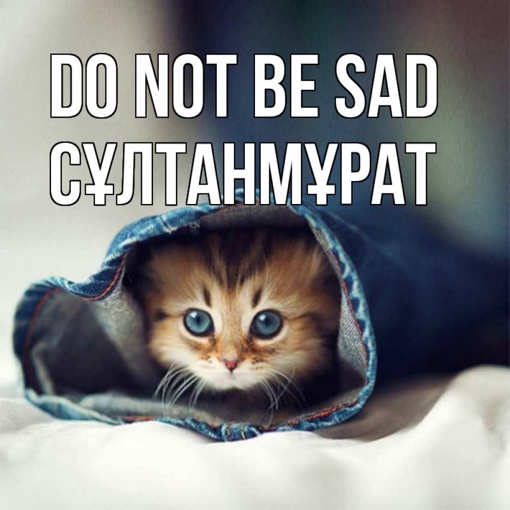 Greetings card с именем, СҰЛТАНМҰРАТ Do not be sad рыжик котик Greetings with text for free download 