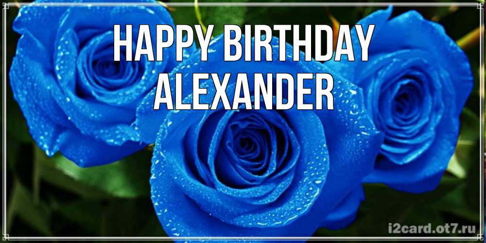Greetings card с именем, Alexander Happy Birthday розы с синим цветом Greetings with text for free download 
