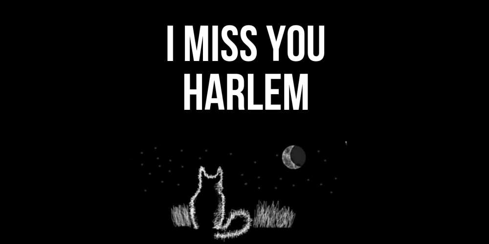Greetings card с именем, Harlem I miss you кот Greetings with text for free download 