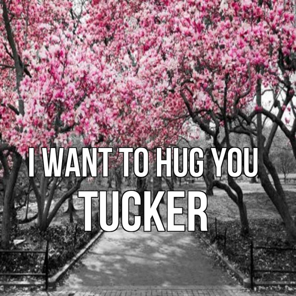 Greetings card с именем, Tucker I want to hug you обработанное фото Greetings with text for free download 