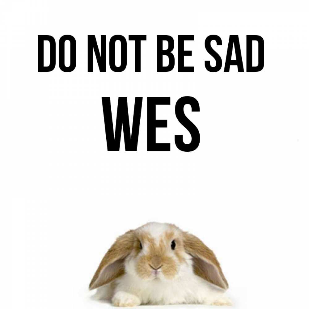 Greetings card с именем, Wes Do not be sad коричнево белый заяц с большими ушками Greetings with text for free download 