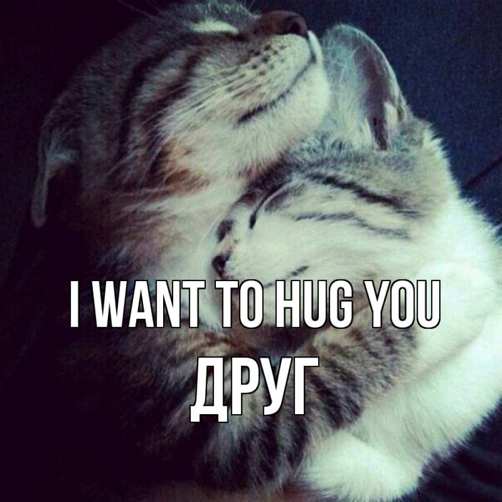 Greetings card с именем, Друг I want to hug you полосатики Greetings with text for free download 