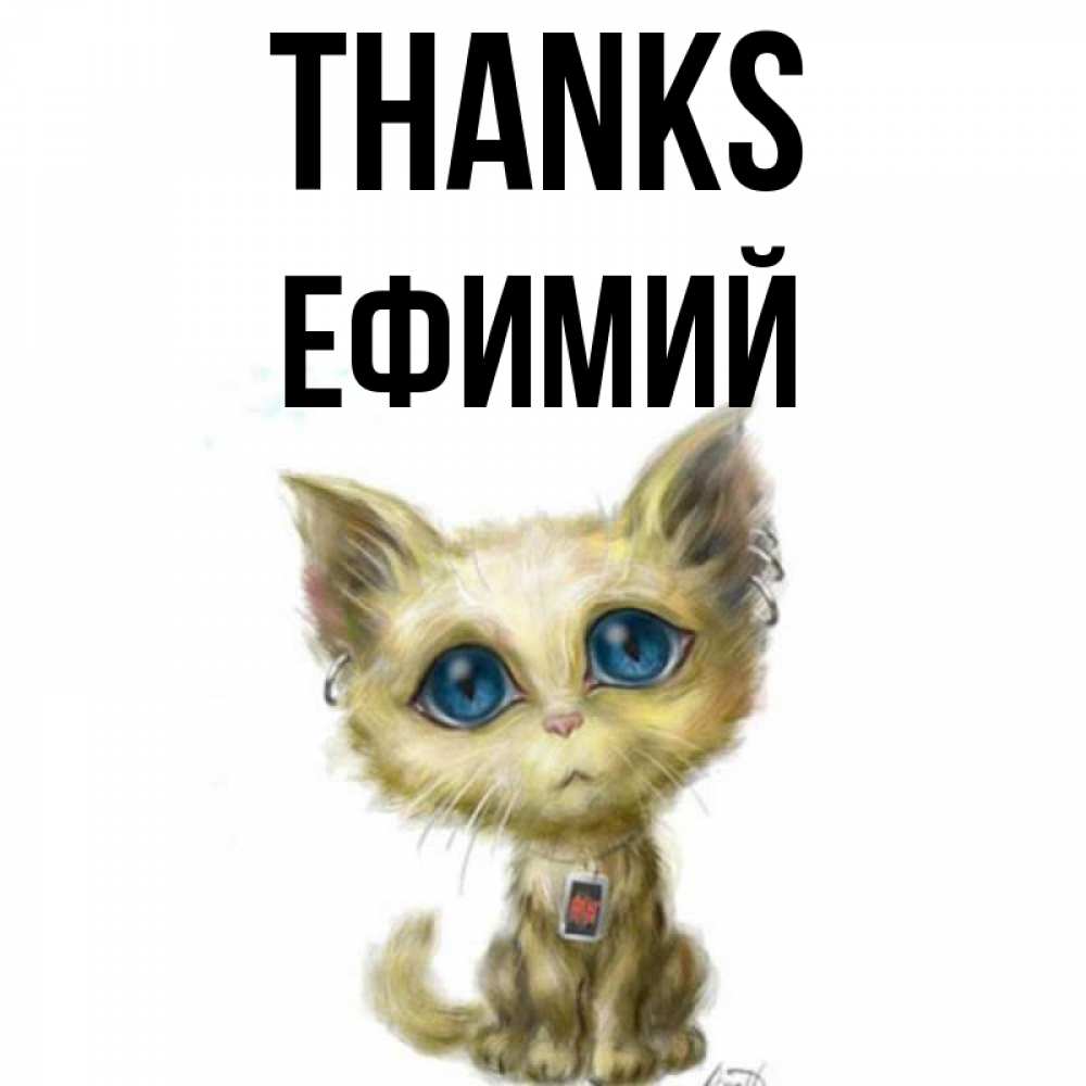 Greetings card с именем, Ефимий Thanks рисованный кот благодарит вас Greetings with text for free download 