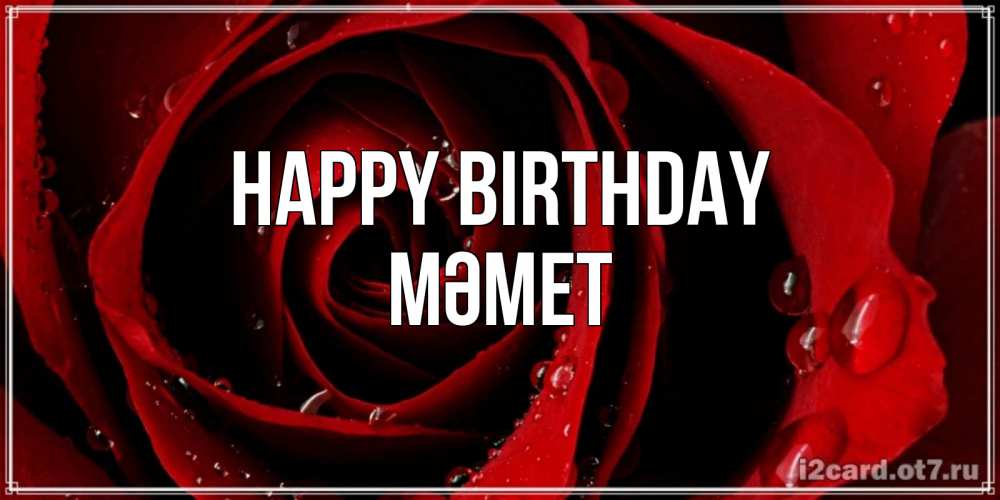 Greetings card с именем, Мәмет Happy Birthday крупная бордовая роза Greetings with text for free download 