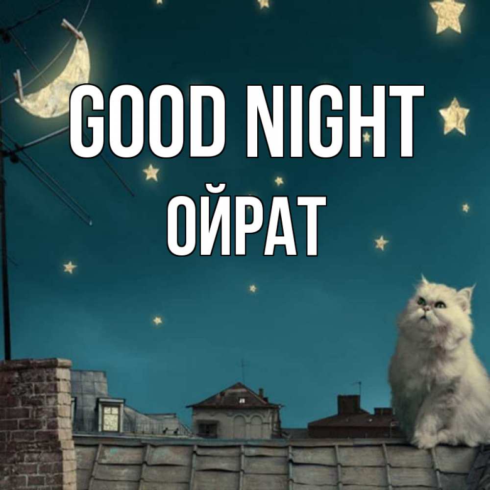 Greetings card с именем, ОЙРАТ Good night белый кот сидит на крыше Greetings with text for free download 