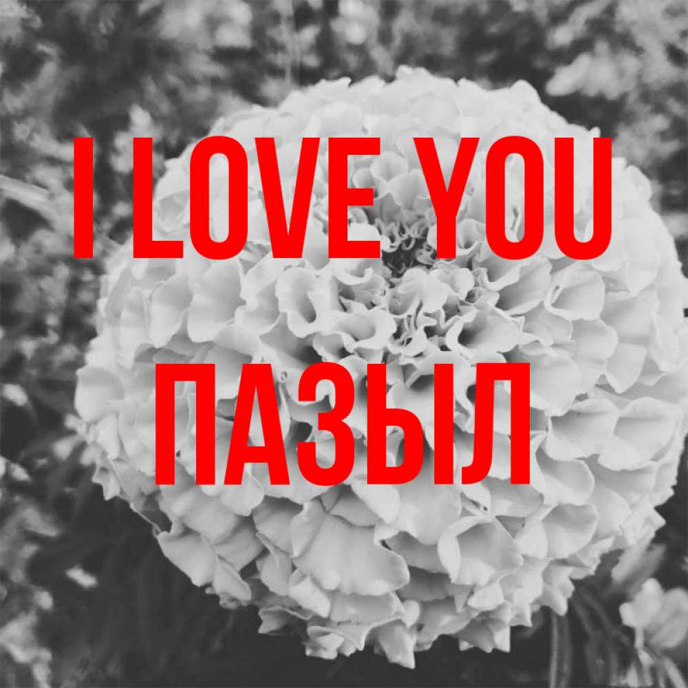 Greetings card с именем, ПАЗЫЛ I love you подпись Greetings with text for free download 