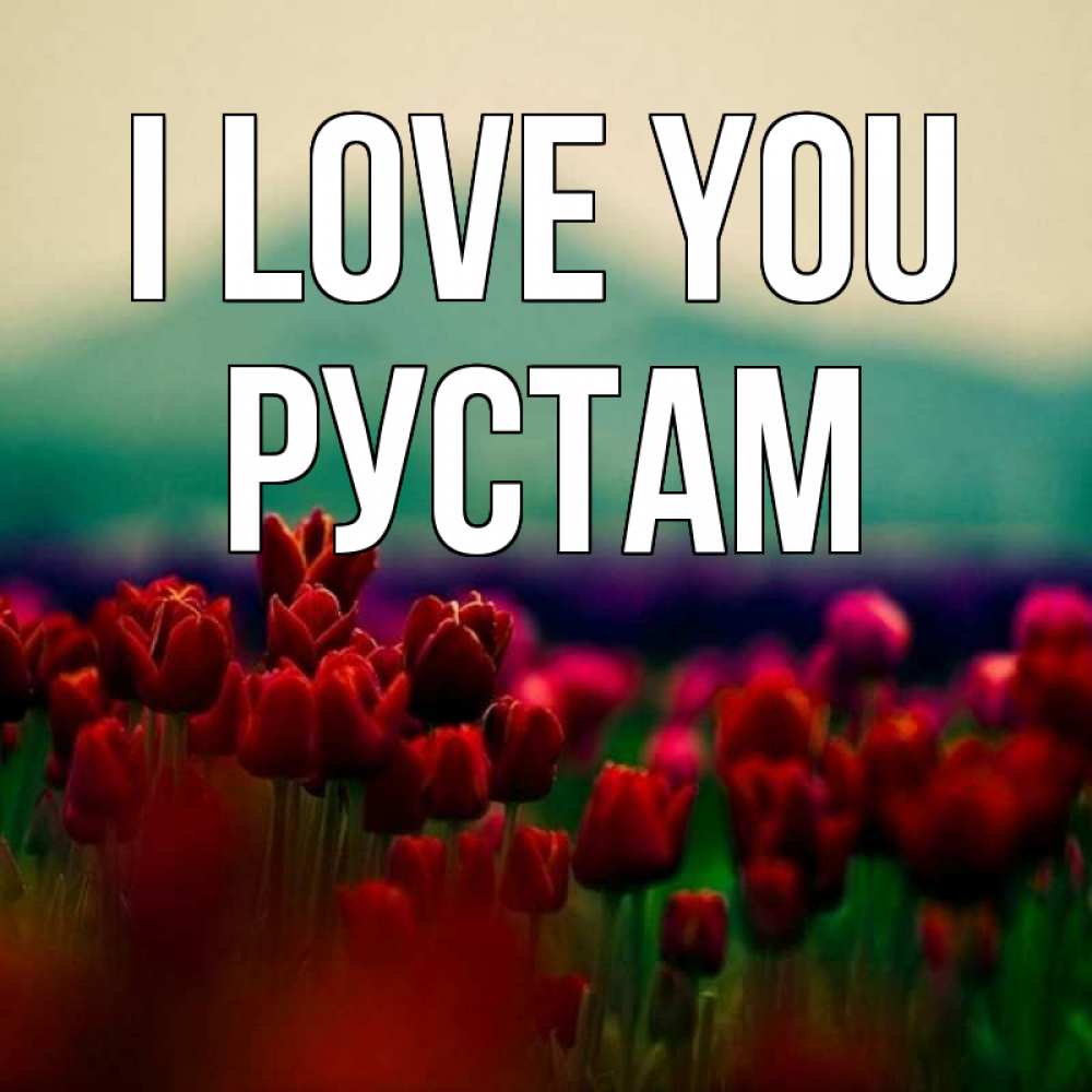 Greetings card с именем, Рустам I love you тюльпаны 4 Greetings with text for free download 