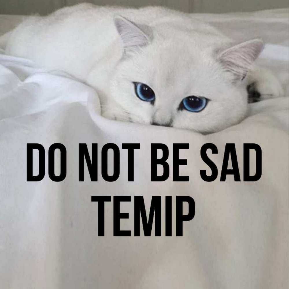 Greetings card с именем, ТЕМІР Do not be sad Голубоглазая кошка Greetings with text for free download 