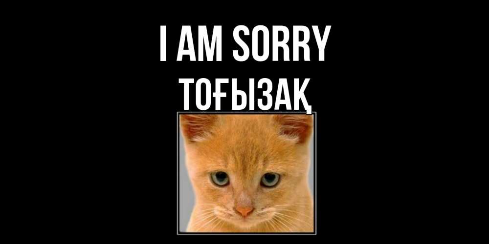 Greetings card с именем, ТОҒЫЗАҚ I am sorry рыжий грустный кот просит прощения Greetings with text for free download 