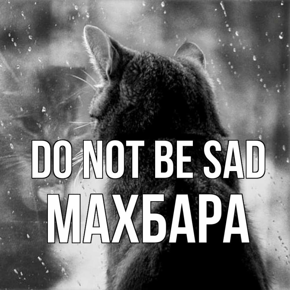 Greetings card с именем, МАХБАРА Do not be sad отражение кота 1 Greetings with text for free download 