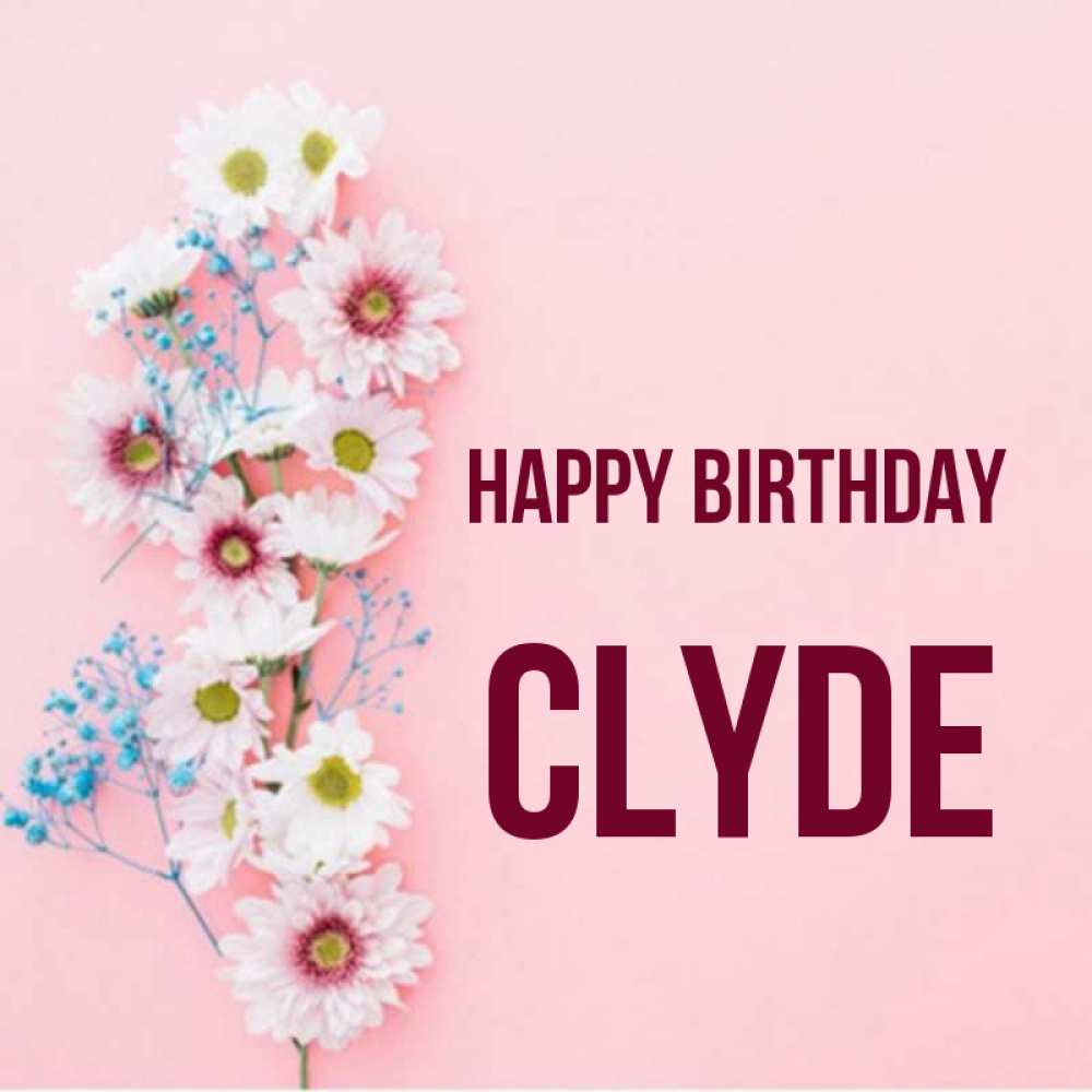 Greetings card с именем, Clyde Happy Birthday Родная моя с днем рождения тебя картинка с цветами белыми и голубыми Greetings with text for free download 