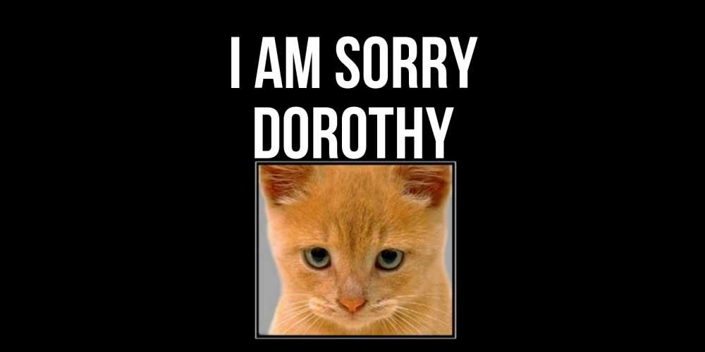 Greetings card с именем, Dorothy I am sorry рыжий грустный кот просит прощения Greetings with text for free download 