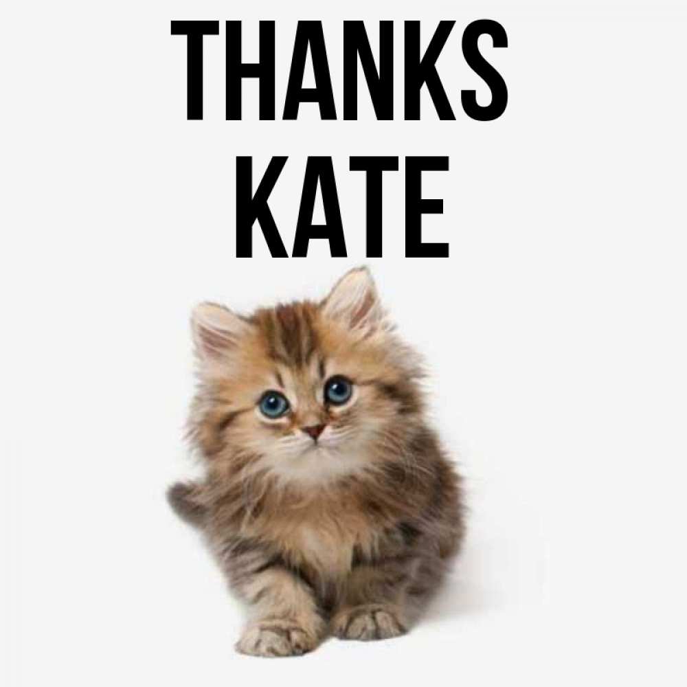 Greetings card с именем, Kate Thanks пушистый котик Greetings with text for free download 