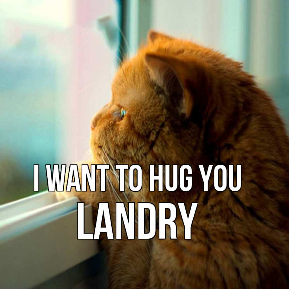Greetings card с именем, Landry I want to hug you большой огромный рыжий котяра Greetings with text for free download 